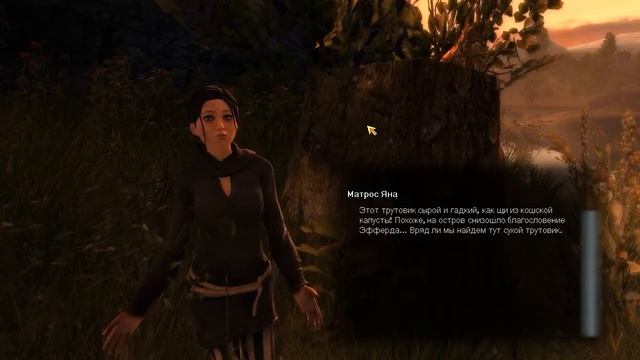 Drakensang: The River Of Time #1 Словно Dragon Age (Пилотный выпуск)