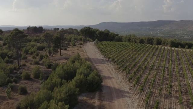 Relax Music Meditation  Traveling MAX Listen Music FLY OVER SKY GOPRO 360 MUST SEE #MEX_ON_THE_WAY