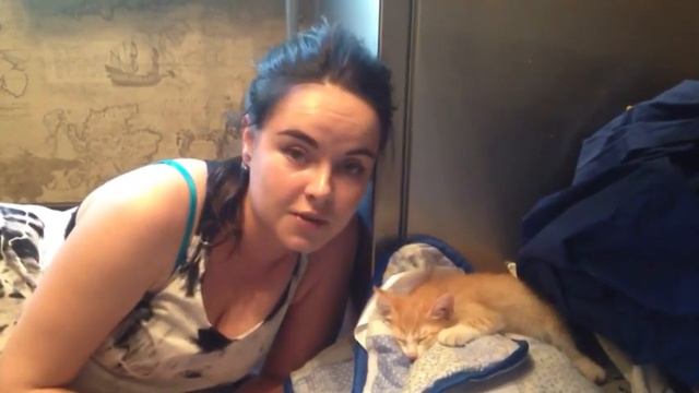 Приют Муркоша. Отзыв от Анны