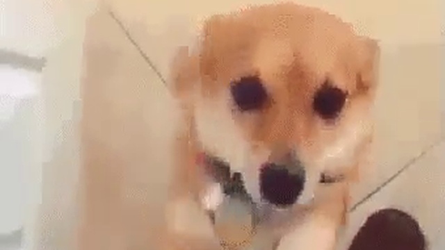 3093f107746709e9e5daea41c84c87a8