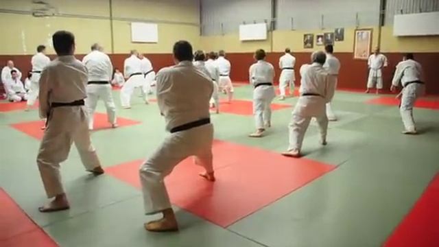 Stage P. Lecourt Shotokan Karate Bruz 12 Avril 2013