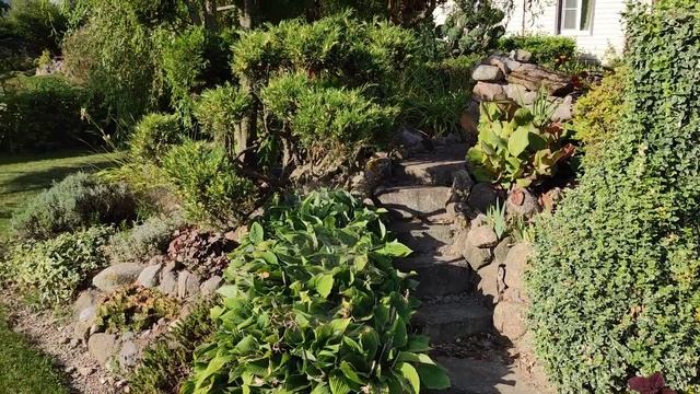 5a8def3af8695e8e91ae5635fd2837b7