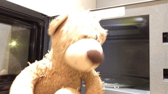 Md. Abrar Hossain Alif