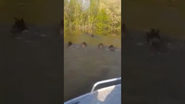 Учим Делать Креативно