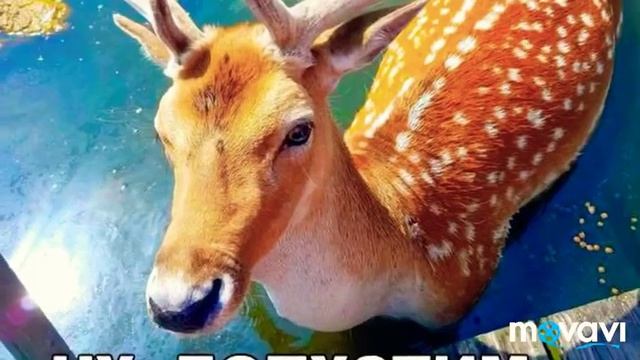 Фотошоп смешных сцен из ВК