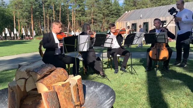 Perfect - Ed Sheeran (cover) String Quartet