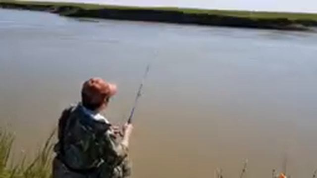 ПОПАЛИ НА ЖОР СУДАКА! ЛОВЛЯ СУДАКА НА ЖИВЦА!