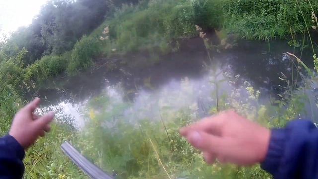 Охота на бобра 2021, как же мне на него везет.