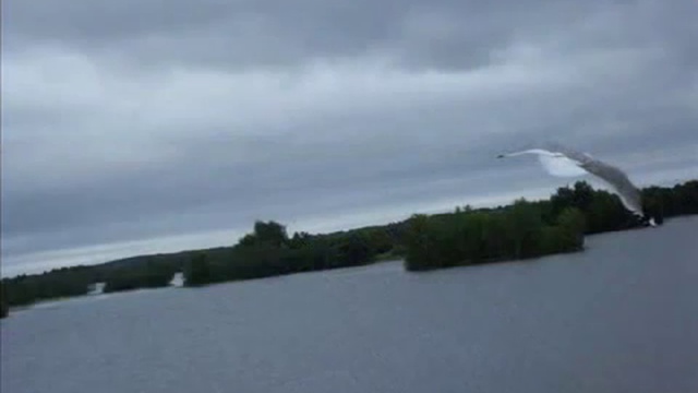 Сергей Каринский(Serkarinskii) памяти Gary Moore The Loner