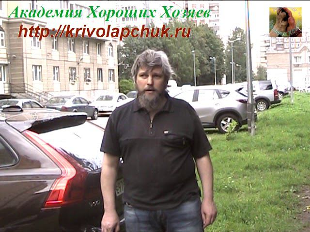 Зачем ходить РЯДОМ с семейной собакой