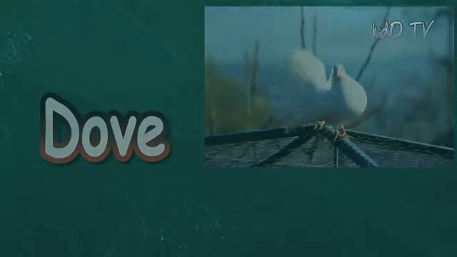 Animals Names In English That Begin With The Letter D | Learn Animals Names With Pictures | kidO TV