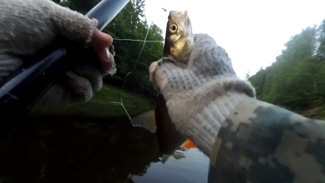 1b612d335c1f9b2a292a33bdaadd59fd