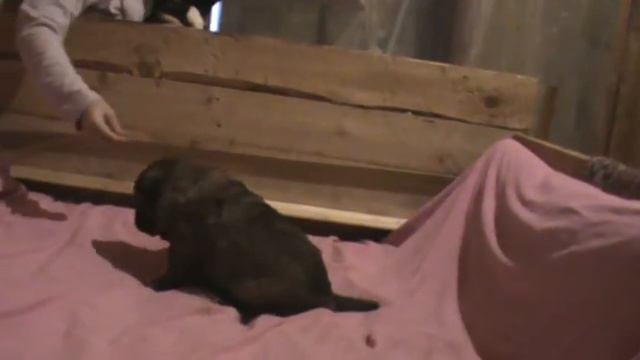 E57394f2620688d1205fd683f27bb273