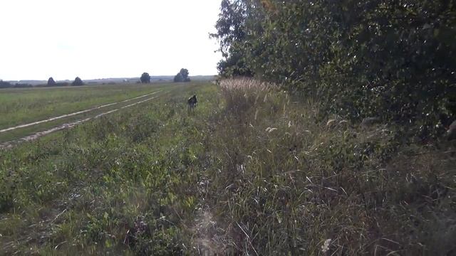 Место, где жили РАЗБОЙНИКИ оказалось прибыльным