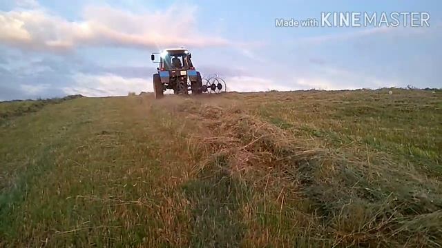 Кыргызыстан  село Асылбаш  работа в горах с граблями