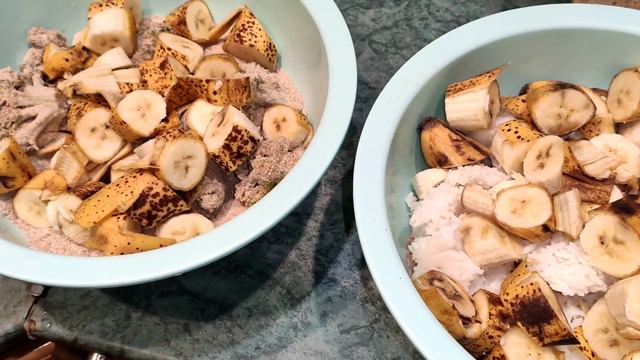 Черная львинка день 7