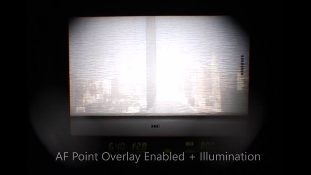 Pentax K-1 Viewfinder LCD Demo