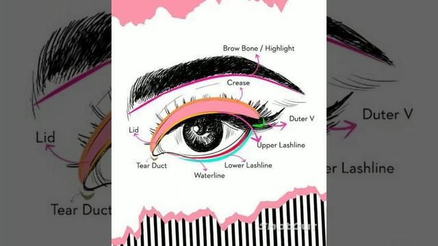 @quick_tips123 !! Short Film Video !! #1049*✨