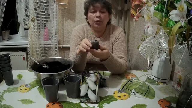 Супер! Стаканчики для пересадки баклажан.Super! Cups For Eggplant Transplantation