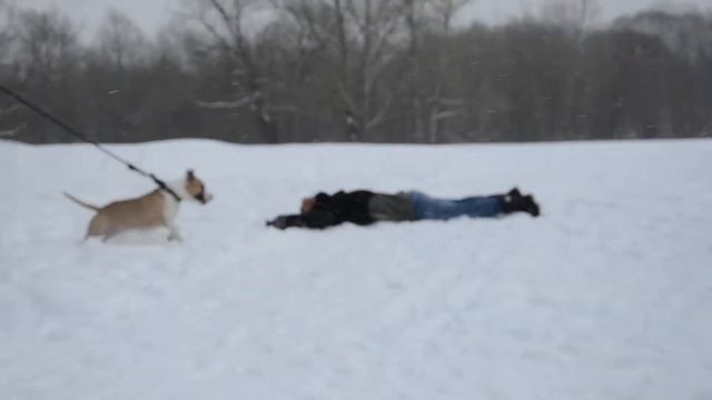 Da9f8f642837022462b50193dce1504a