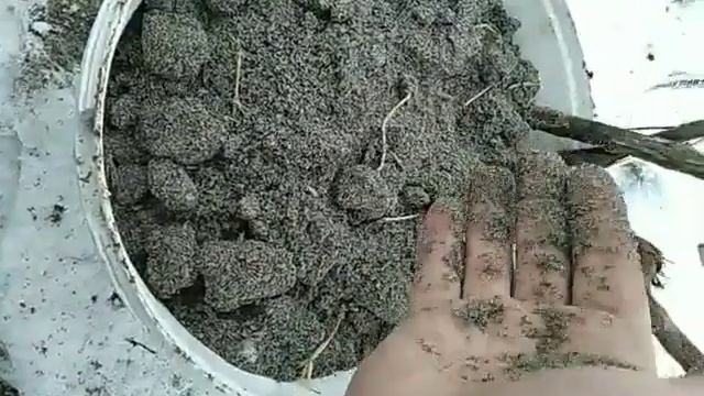 3bc1e29b1e1efe553b595ac3b32b9321