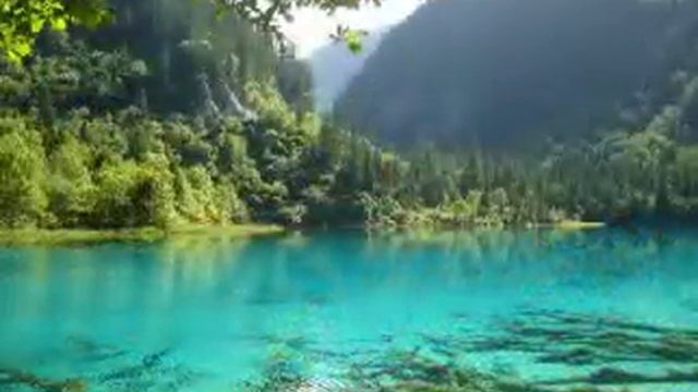 6180619f35fbec433dc494ac17a9b9ef