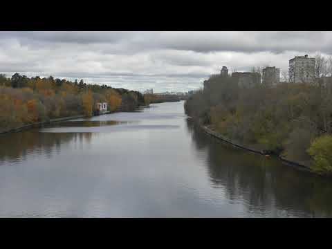 Видео снятое видеокамерой Panosonic Hc Wx970 Day Light Video Test 4k