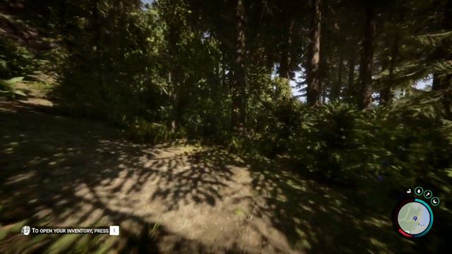 Sons Of The Forest I3 10100F / 16GB RAM DDR4 / RX6600 8GB DDR6/ GAMEPLAY TEST