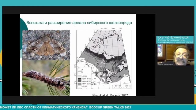 Может ли лес спасти от климатического кризиса?
