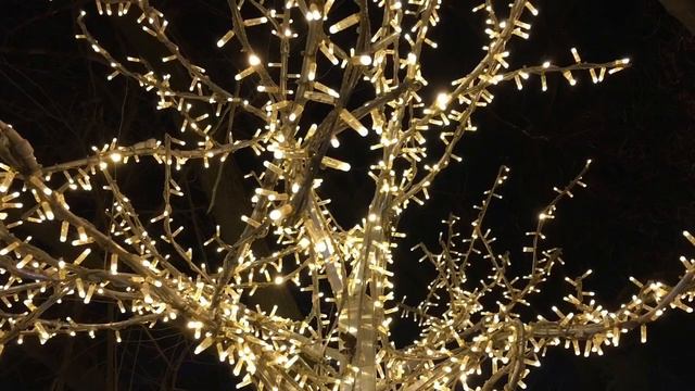 Ff789f625dd8a2e2144649dc87ac5497