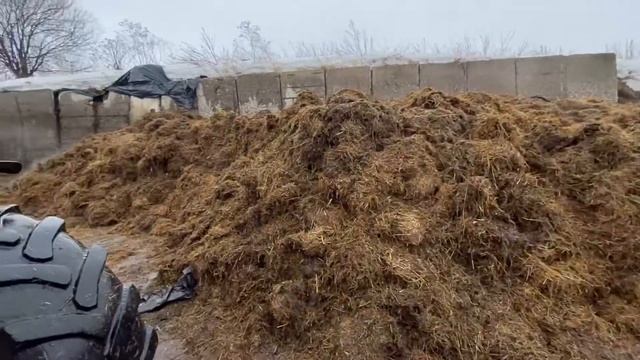 Рабочий день на ферме