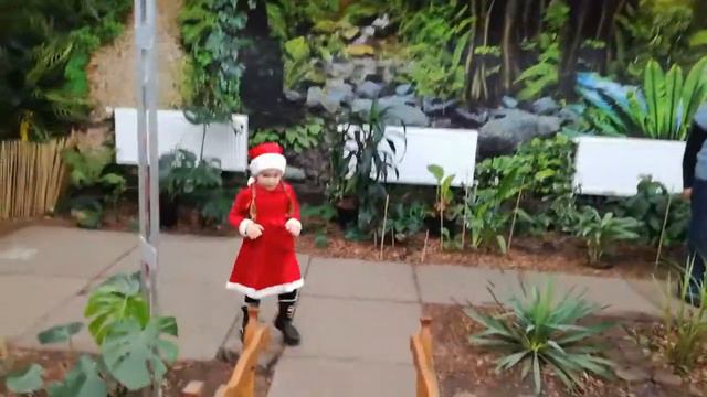 Планета бабочек.Тропическая ферма.