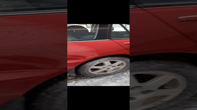 окрас крыла