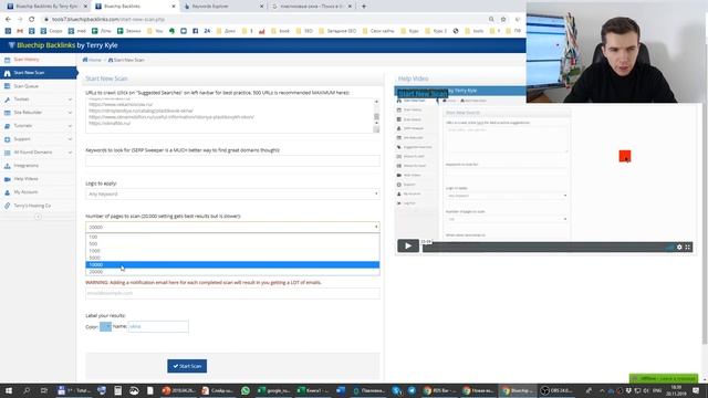 Как искать дропы в Bluechip Backlinks