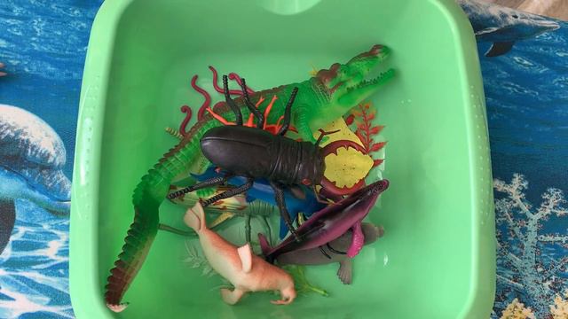 Ef71ab58bf62ce9ec17680b7f8f779a3