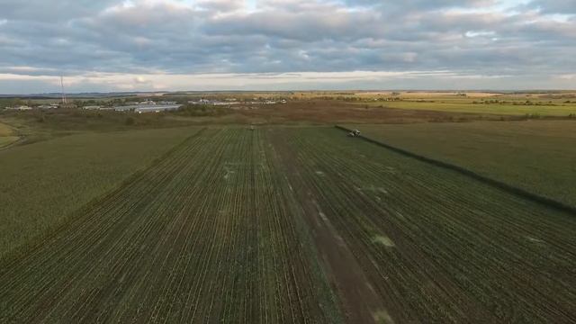 Уборка кукурузы 2020 | Maize Harvesting