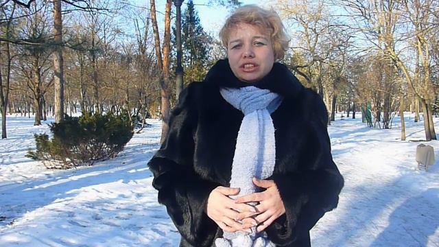 Отзыв о книге Тома Шрайтера 