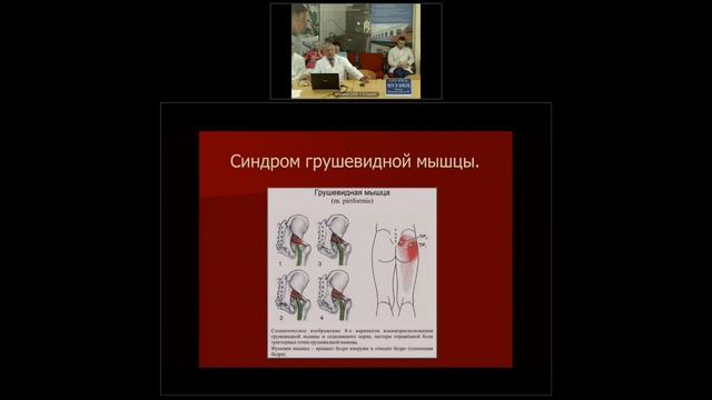 Позвоночник как основа здорового организма