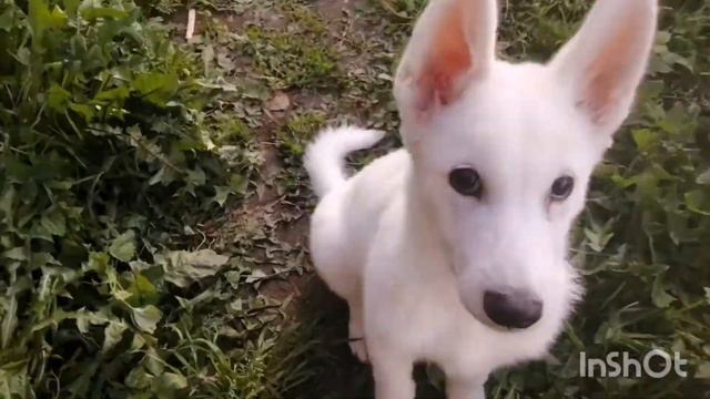 939446433109501fb8acf43bff33c849