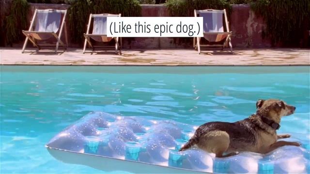 Summer Downloads   WPS Office