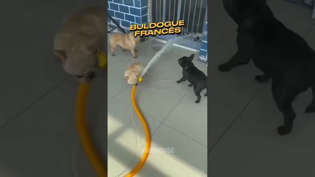 5c5c3d9f259fd7e2095f60fd818a8313