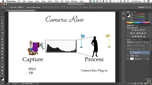 Master Adobe Photoshop 24