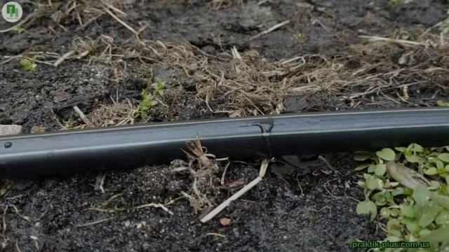 Капельный Полив В Парнике