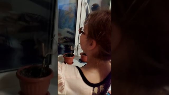 Eafe067ba0cf915e055084544e8b317b