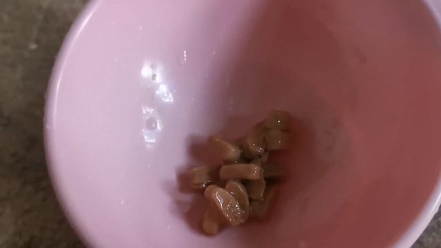 обзор корма Hills