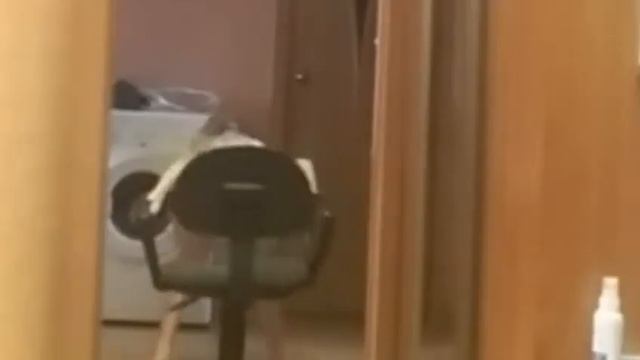 Все плюсы этого стула