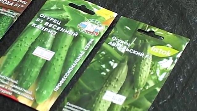 ДАЧНИКИ (выпуск 6) - огурцы сорты и гибриды. Подробнее на Www.5-nt.ru