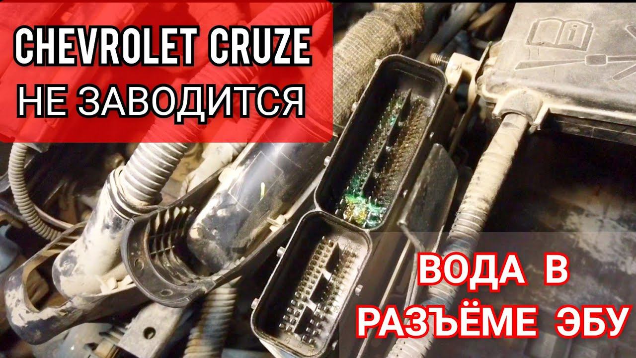 Автоэлектрик Севастополь