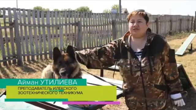 358cae84baeaca7f562ce83f2f9ecba1