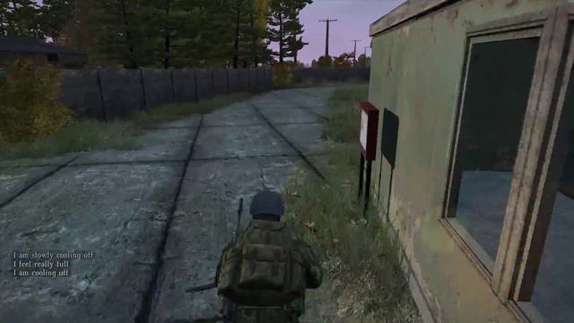 Вечерний стрим с PlayGod | 0.49-31 | DayZ SA